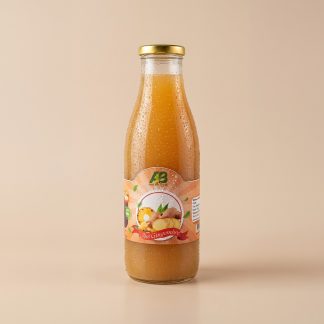 Jus Bio Gingembre 1L Verre