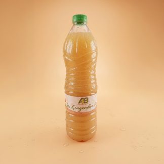 Jus Bio Gingembre 1L