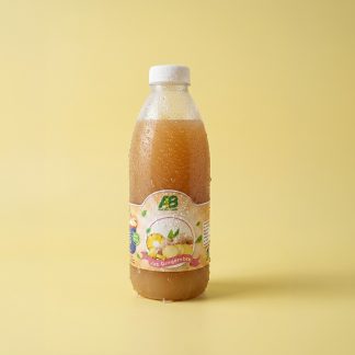 Jus Bio Gingembre 1L