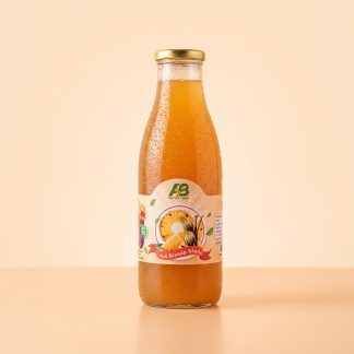 Jus Bio Bissap blanc 1L Verre